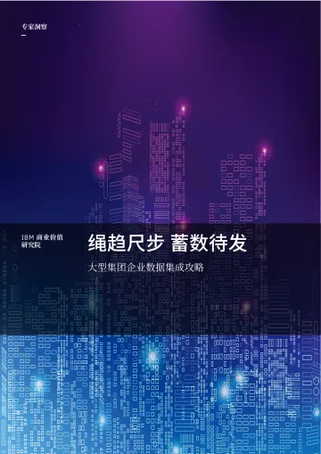 IBM-绳趋尺步 蓄数待发:大型集团企业数据集成攻略-12页