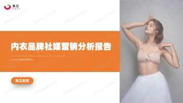 内衣品牌社媒营销分析报告-集瓜数据-23页