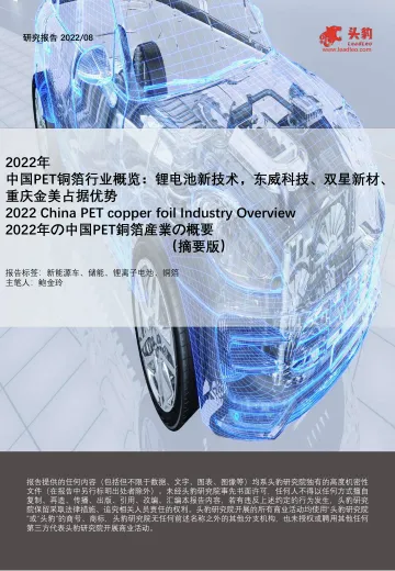 头豹研究院-2022年中国PET铜箔行业概览:锂电池新技术,东威科技、双星新材、重庆金美占据优势(摘要版)-2022.09-12页-WN9