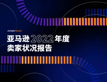 亚马逊2022年卖家状况报告-中文版-43页