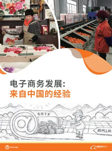 电子商务发展:来自中国的经验_1