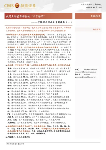 中国供应链安全系列报告(一):我国上游资源哪些被“卡了脖子”-20220410-招商证券-56页