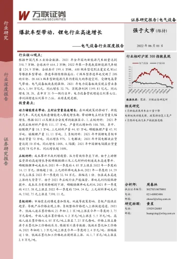 电气设备行业深度报告:爆款车型带动,锂电行业高速增长-20220601-万联证券-26页