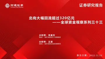 全球资金观察系列三十三:北向大幅回流超过320亿元-20221119-财通证券-30页