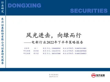 电新行业2022年下半年策略报告:风光进击,向绿而行-20220531-东兴证券-29页