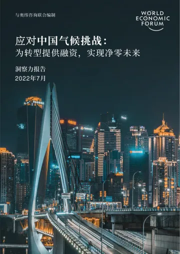 奥纬咨询-应对中国气候挑战:为转型提供融资,实现净零未来-44页