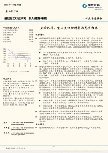 基础化工行业年度报告:至暗已过,重点关注新材料和龙头白马-20221223-国金证券-89页