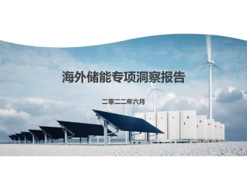 海外家庭储能市场专题研究-41页.-WN9