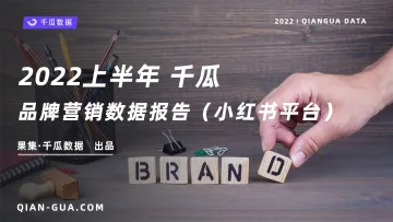 2022上半年品牌营销数据报告（小红书平台）-千瓜-202206-40页