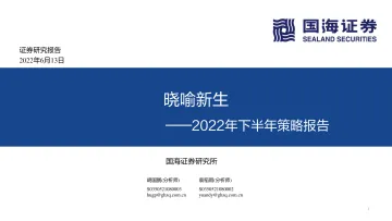 2022年下半年策略报告:晓喻新生-20220613-国海证券-103页