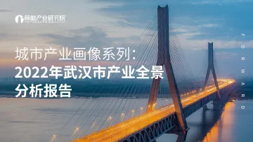 前瞻产业研究院-2022年武汉市产业全景分析报告-109页