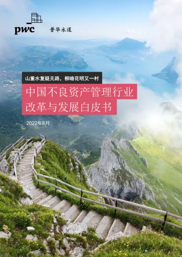 普华永道-中国不良资产管理行业:改革与发展白皮书-2022.8-112页-WN8