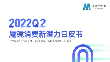 2022Q2魔镜消费新潜力白皮书-魔镜市场情报-2022-179页