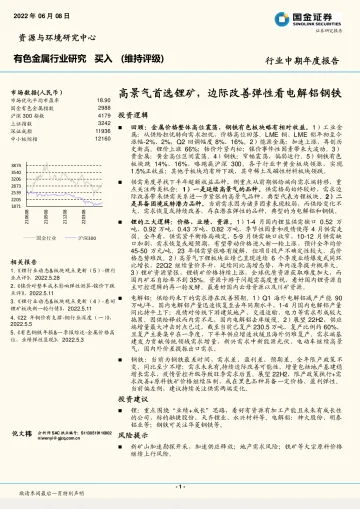 有色金属行业:高景气首选锂矿,边际改善弹性看电解铝钢铁-20220608-国金证券-33页