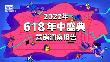 2022年618营销洞察报告-27页