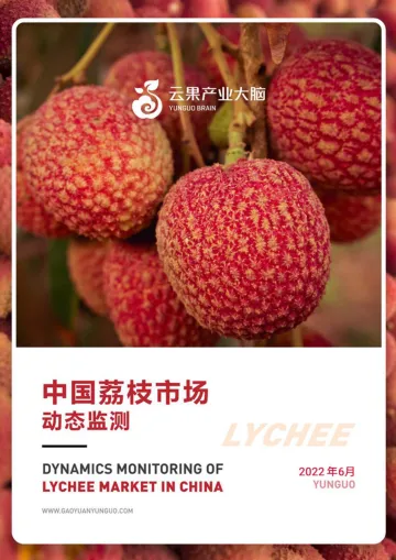 云果：中国荔枝市场动态监测(2022年6月)-22页