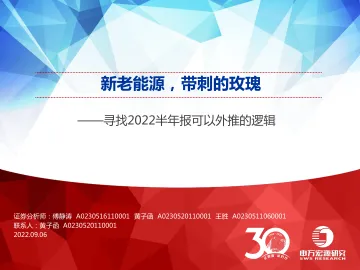 寻找2022半年报可以外推的逻辑:新老能源,带刺的玫瑰-20220906-申万宏源-59页