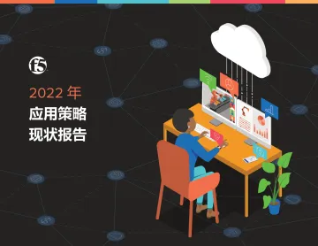2022年应用策略现状报告-31页