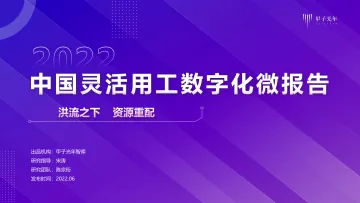 中国灵活用工数字化微报告-甲子光年-11页
