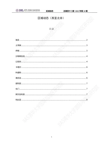 《区域动态》第四十三期-西亚北非动态-8页