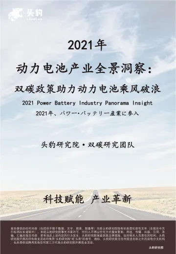 头豹研究院-2021年动力电池产业全景洞察:双碳政策助力动力电池乘风破浪-2022.08-41页-WN8