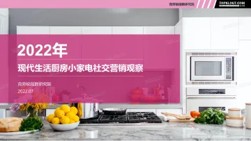 现代生活厨房小家电社交营销观察-36页-WN8