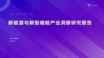甲子光年-新能源与新型储能产业洞察研究报告-2022.08-13页-WN8
