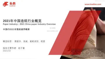 2021年中国造纸行业概览 39页