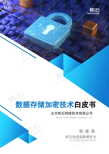 炼石-数据存储加密技术白皮书V1.1-27页
