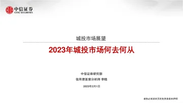 城投市场展望:2023年城投市场何去何从-20230201-中信证券-32页