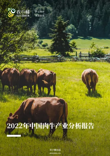 农小蜂-2022年中国肉牛产业分析报告-37页
