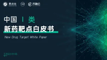 中国Ⅰ类新药靶点白皮书_2022-24页