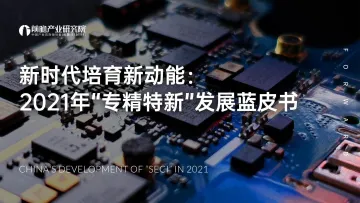 2021年“专精特新”发展蓝皮书-202111