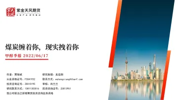 甲醇季报:煤炭缠着你,现实拽着你-20220617-紫金天风期货-27页