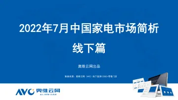 2022年7月家电市场总结(线下篇)-87页-WN8