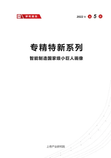 智能制造国家级小巨人画像-19页
