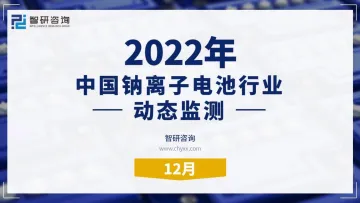 2022年12月中国钠离子电池行业动态监测-24页