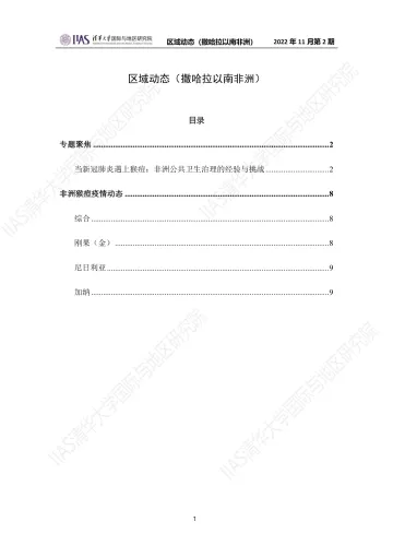 2022年11月第二期《区域动态》撒哈拉以南非洲地区-10页
