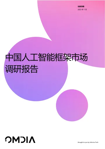 《中国人工智能框架市场调研报告》-30页