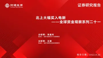 全球资金观察系列二十:北上大幅买入电新-20220820-财通证券-30页