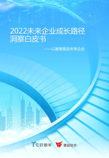 2022未来企业成长路径洞察白皮书-45页