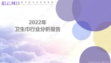 【蔚云科技】2022年卫生巾行业报告【洞见研报DJyanbao.com】-29页