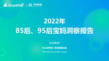 2022年85后、95后宝妈人群洞察-29页