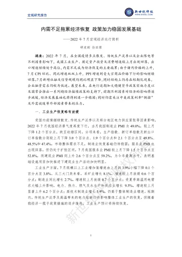 新世纪评级-内需不足拖累经济恢复 政策加力稳固发展基础——2022年7月宏观经济运行简析-8页-WN9