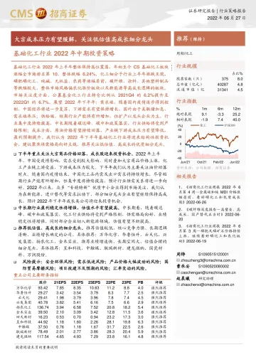 基础化工行业2022年中期投资策略:大宗成本压力有望缓解,关注低估值高成长细分龙头-20220627-招商证券-30页