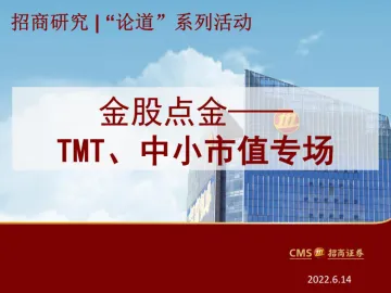 “论道”系列活动之金股点金:TMT、中小市值专场-20220614-招商证券-103页
