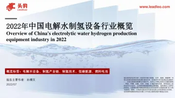 2022年中国电解水制氢设备行业概览-2022.09-46页-WN9
