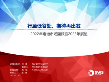 2022年定增市场回顾暨2023年展望:行至低谷处,期待再出发-20230112-申万宏源-47页