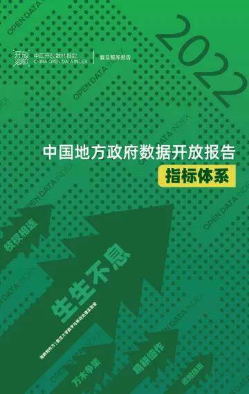 中国地方政府数据开放报告-指标体系-19页