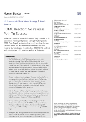 MS-US Economics-FOMC Reaction-No Painless Path To Success